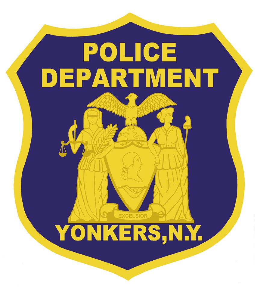 Photo of YPD patch.  